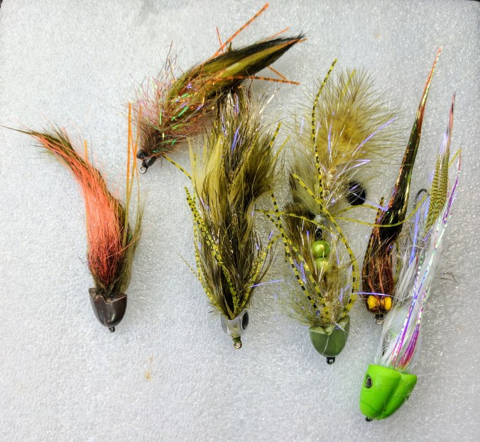 img_20170224_152541-1