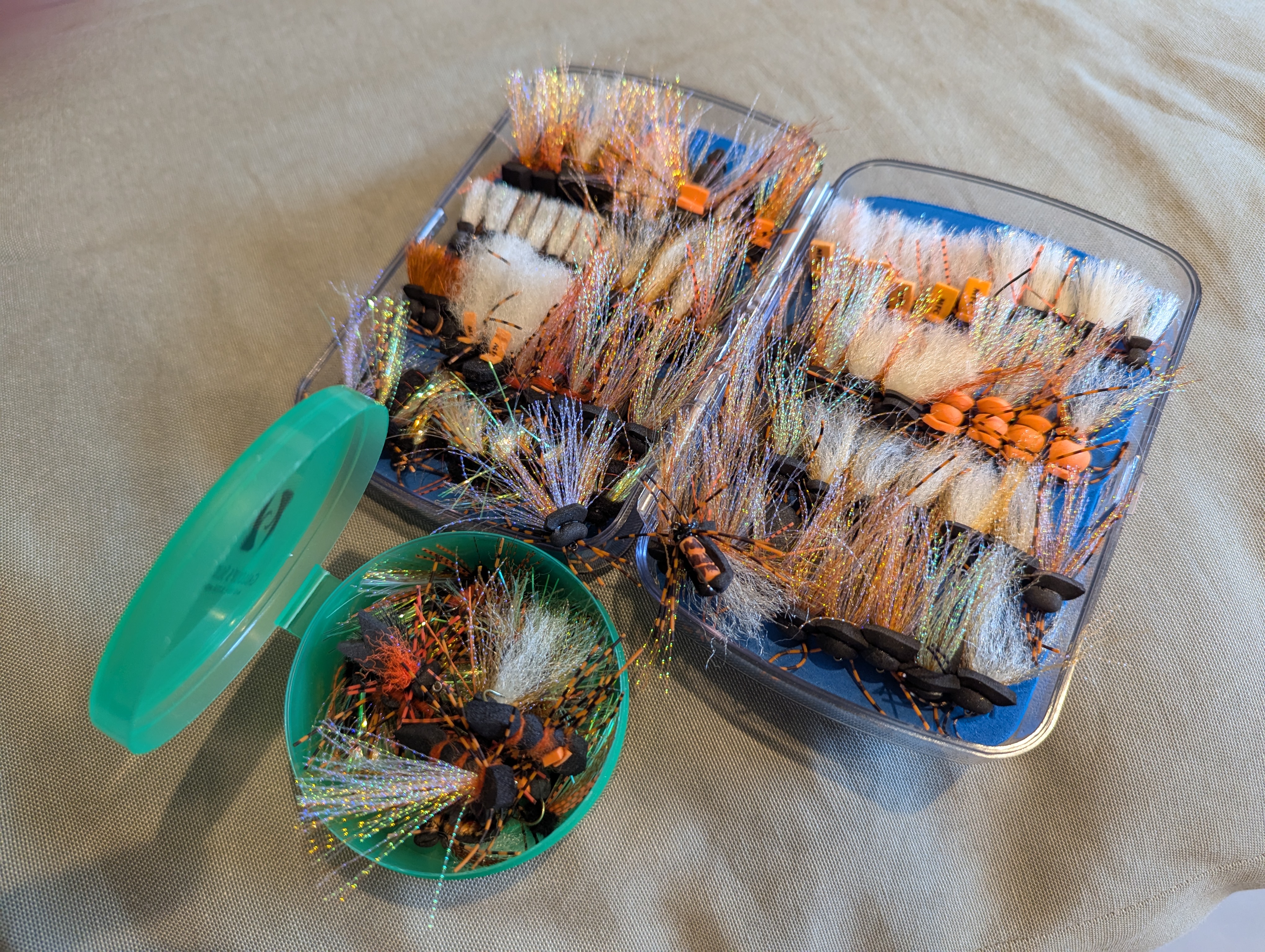 Cicada Mania: Brood XIV Edition | Oak Hall Outfitters
