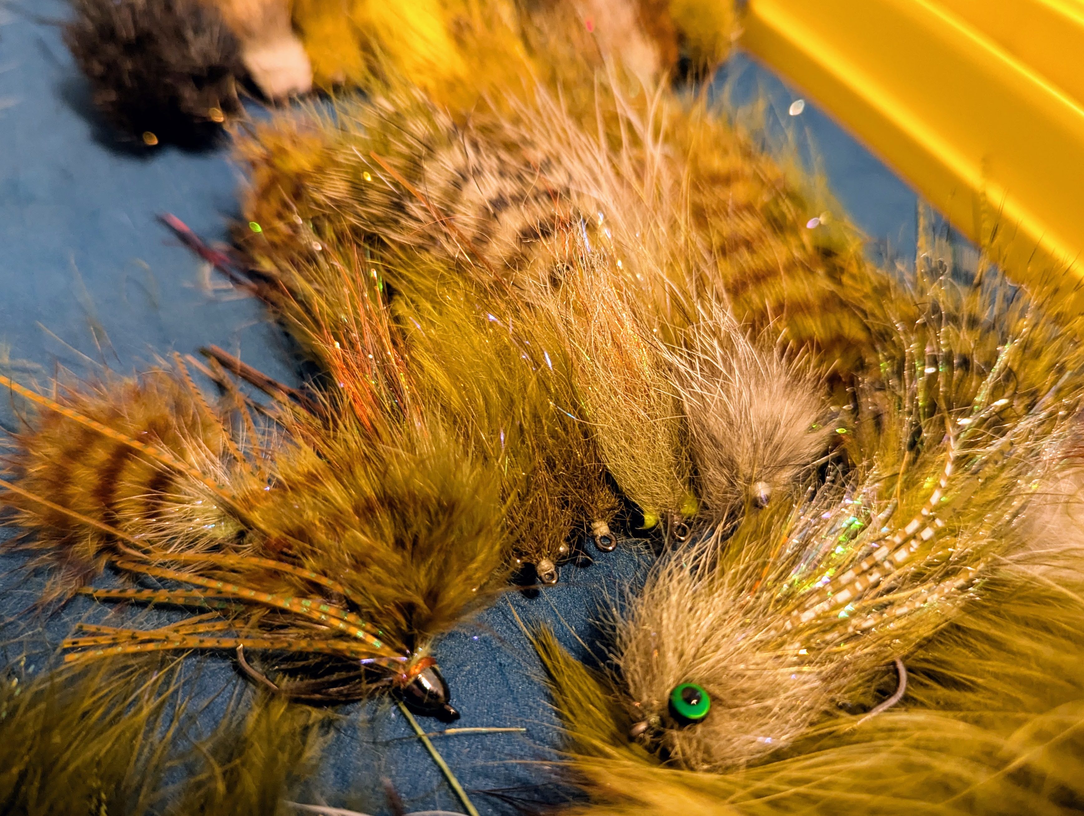 Baitfish flies in a box